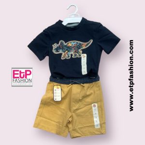 2 Piece Set Boys T-shirt Dinosaur Print And Short