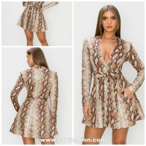 Women Beige Dress Leopard Style